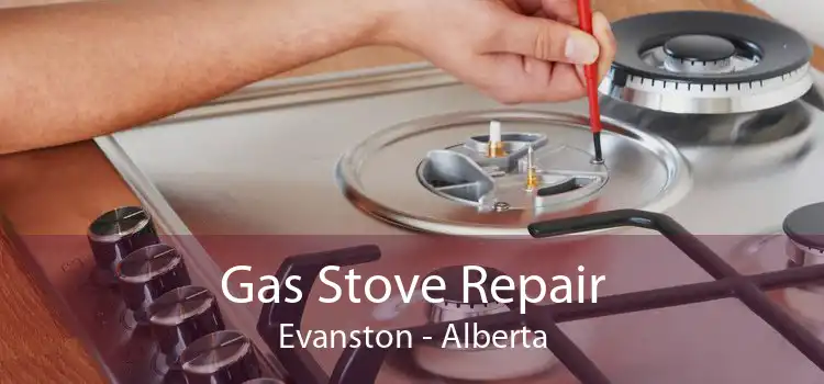 Gas Stove Repair Evanston - Alberta