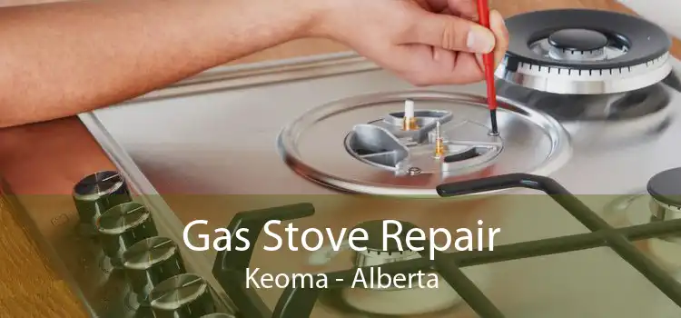 Gas Stove Repair Keoma - Alberta