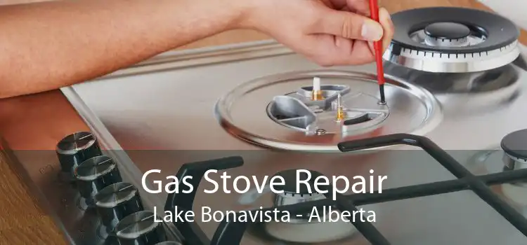 Gas Stove Repair Lake Bonavista - Alberta