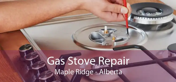 Gas Stove Repair Maple Ridge - Alberta