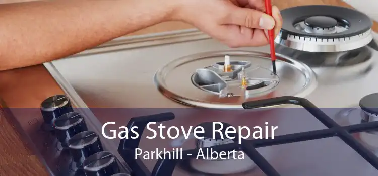 Gas Stove Repair Parkhill - Alberta