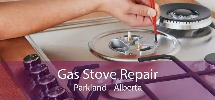 Gas Stove Repair Parkland - Alberta
