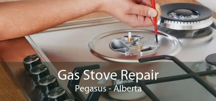 Gas Stove Repair Pegasus - Alberta