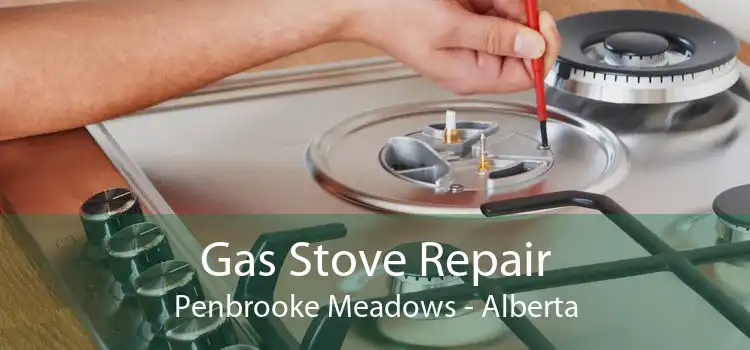 Gas Stove Repair Penbrooke Meadows - Alberta