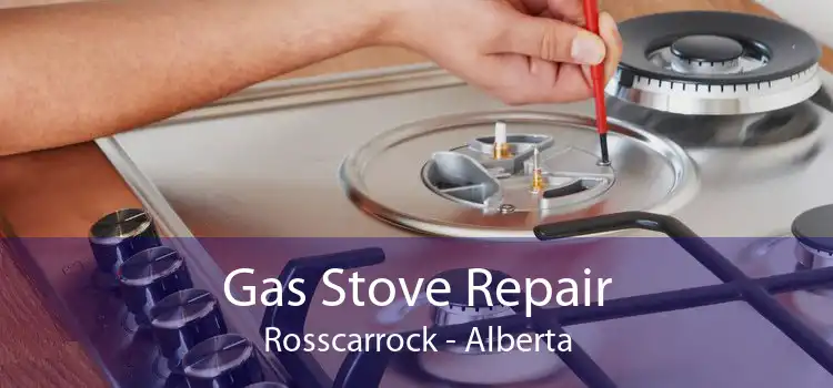 Gas Stove Repair Rosscarrock - Alberta