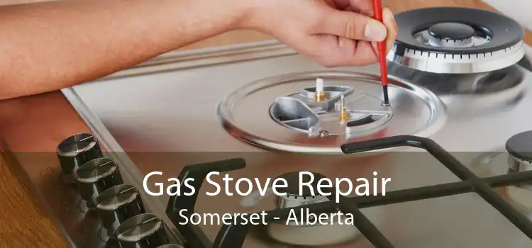 Gas Stove Repair Somerset - Alberta