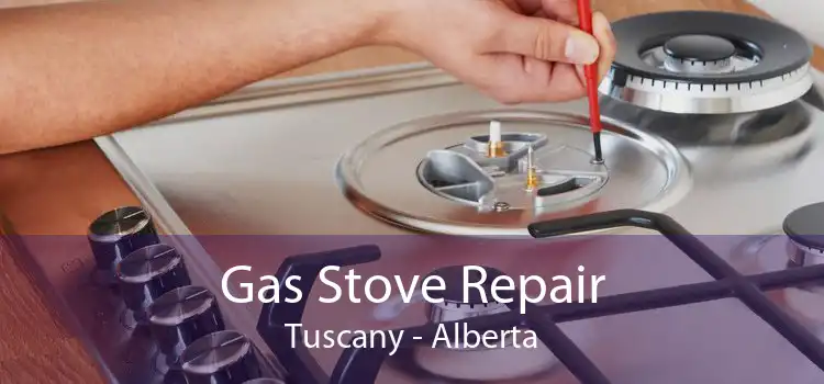 Gas Stove Repair Tuscany - Alberta