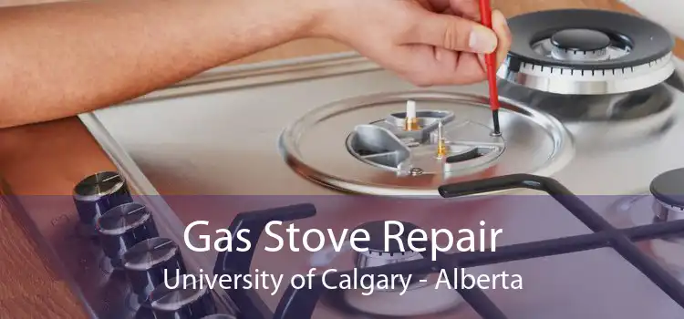 Gas Stove Repair University of Calgary - Alberta