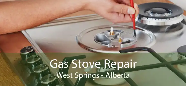 Gas Stove Repair West Springs - Alberta