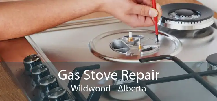 Gas Stove Repair Wildwood - Alberta