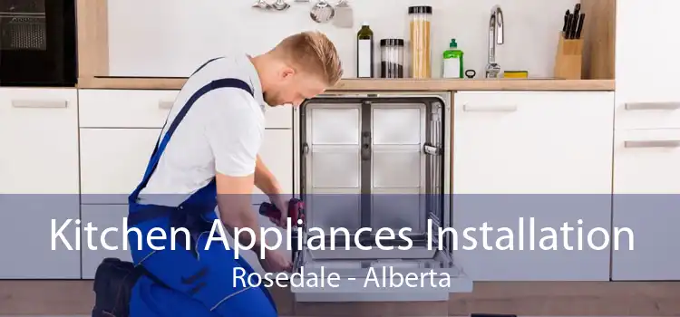 Kitchen Appliances Installation Rosedale - Alberta