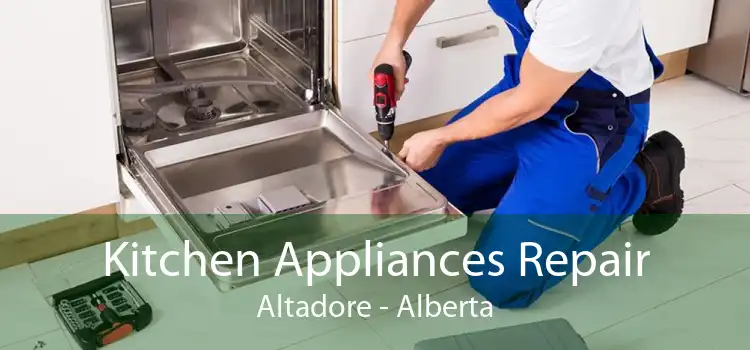 Kitchen Appliances Repair Altadore - Alberta