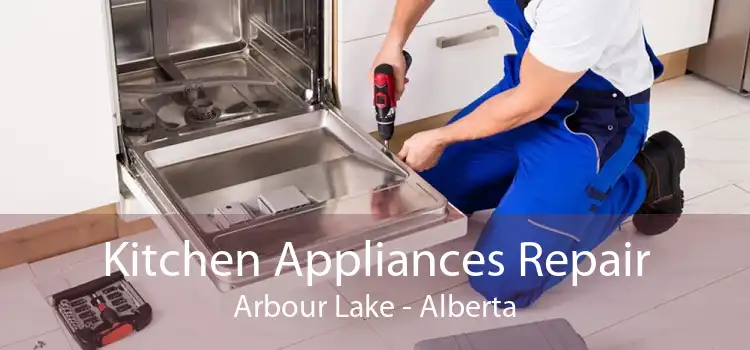 Kitchen Appliances Repair Arbour Lake - Alberta
