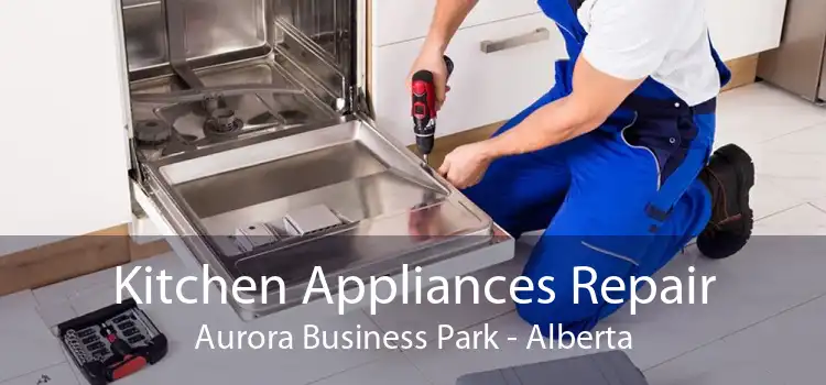 Kitchen Appliances Repair Aurora Business Park - Alberta
