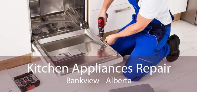Kitchen Appliances Repair Bankview - Alberta