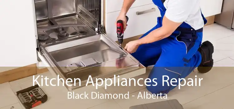 Kitchen Appliances Repair Black Diamond - Alberta