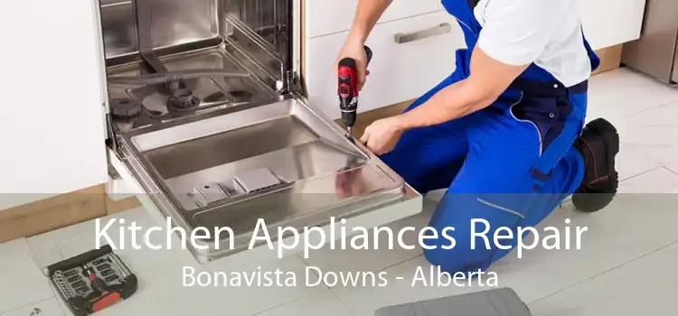 Kitchen Appliances Repair Bonavista Downs - Alberta
