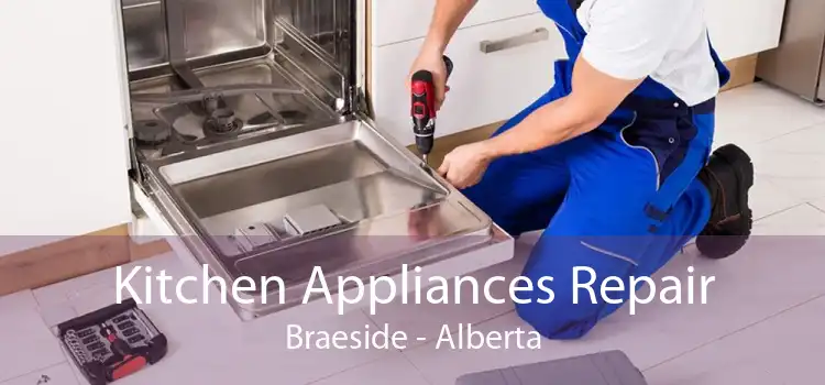 Kitchen Appliances Repair Braeside - Alberta