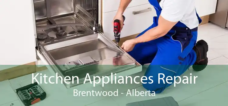 Kitchen Appliances Repair Brentwood - Alberta