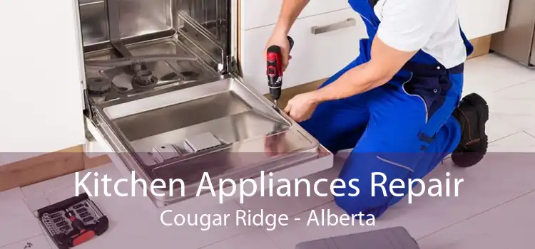 Kitchen Appliances Repair Cougar Ridge - Alberta