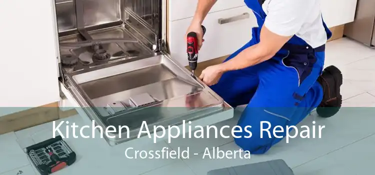 Kitchen Appliances Repair Crossfield - Alberta