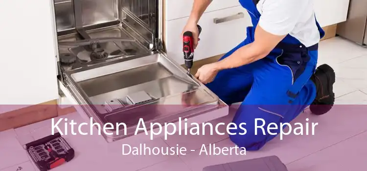 Kitchen Appliances Repair Dalhousie - Alberta