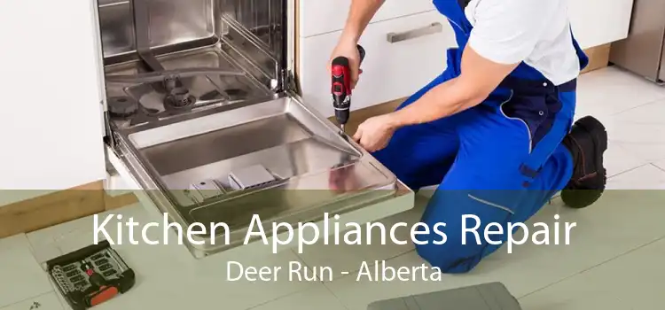 Kitchen Appliances Repair Deer Run - Alberta