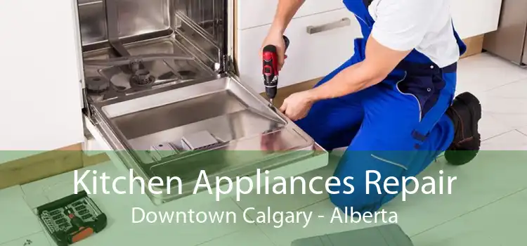 Kitchen Appliances Repair Downtown Calgary - Alberta