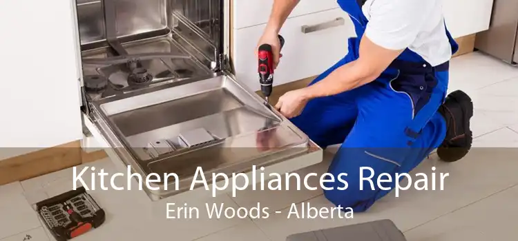 Kitchen Appliances Repair Erin Woods - Alberta