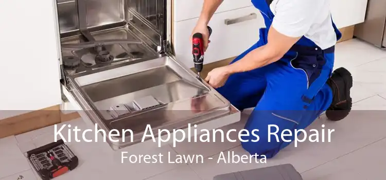 Kitchen Appliances Repair Forest Lawn - Alberta