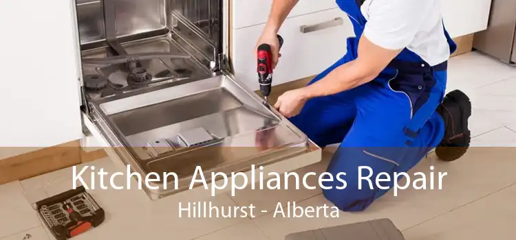 Kitchen Appliances Repair Hillhurst - Alberta