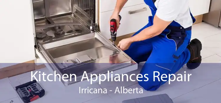 Kitchen Appliances Repair Irricana - Alberta
