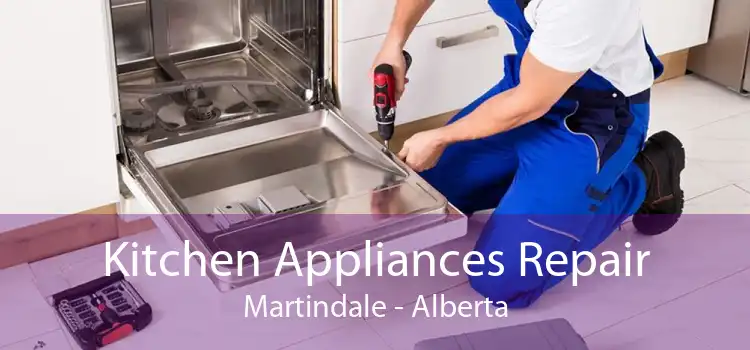 Kitchen Appliances Repair Martindale - Alberta