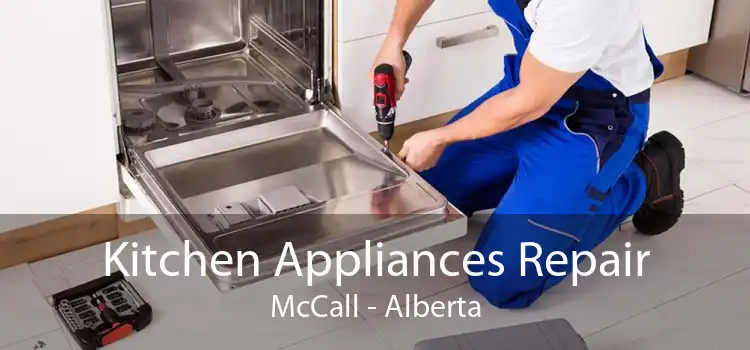 Kitchen Appliances Repair McCall - Alberta