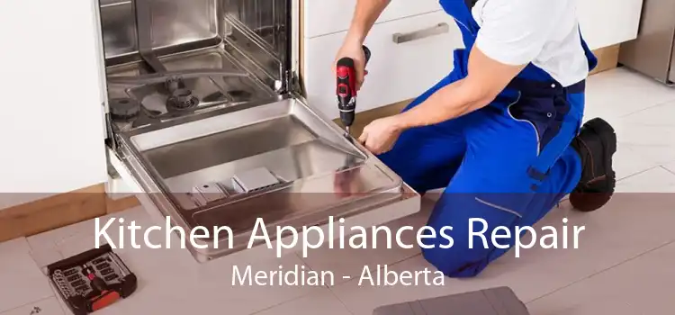 Kitchen Appliances Repair Meridian - Alberta