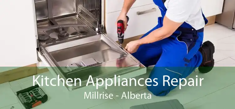 Kitchen Appliances Repair Millrise - Alberta