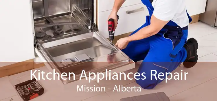Kitchen Appliances Repair Mission - Alberta