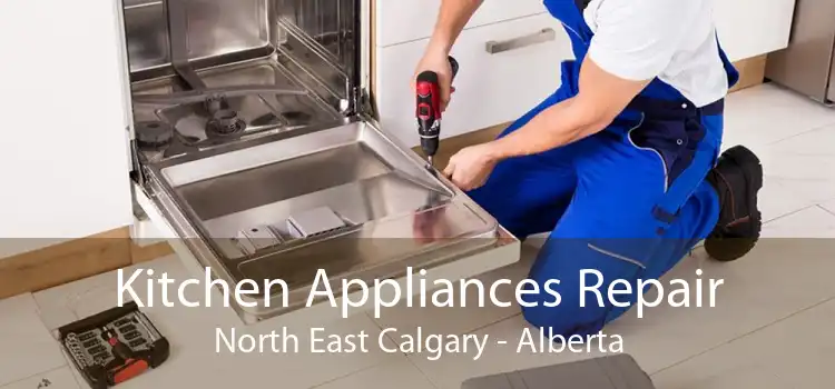 Kitchen Appliances Repair North East Calgary - Alberta