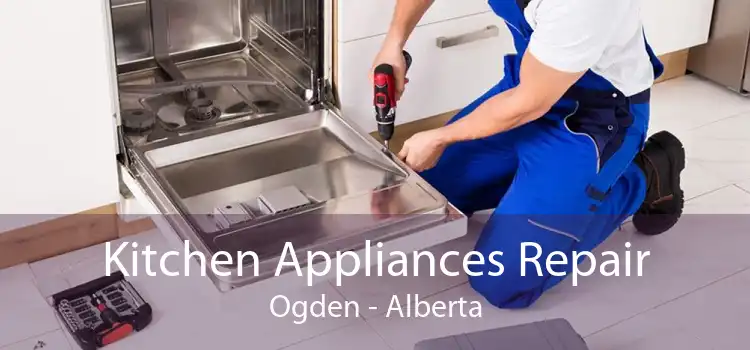 Kitchen Appliances Repair Ogden - Alberta