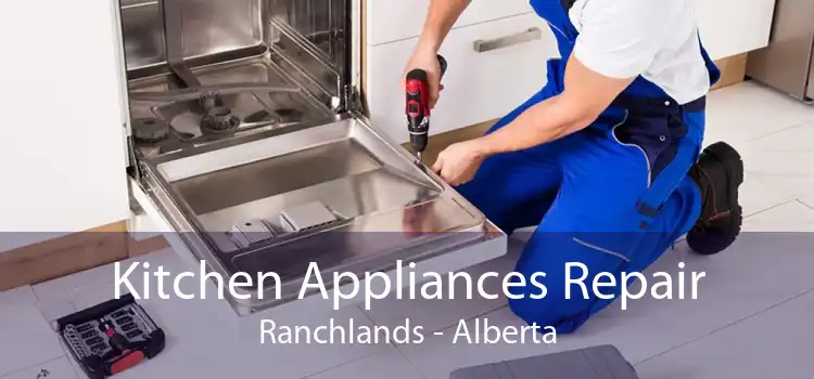 Kitchen Appliances Repair Ranchlands - Alberta