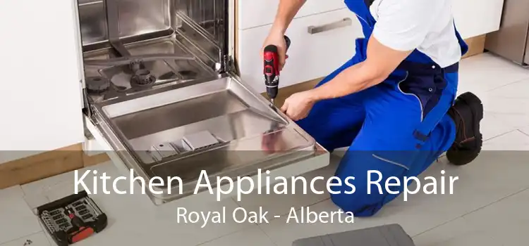 Kitchen Appliances Repair Royal Oak - Alberta