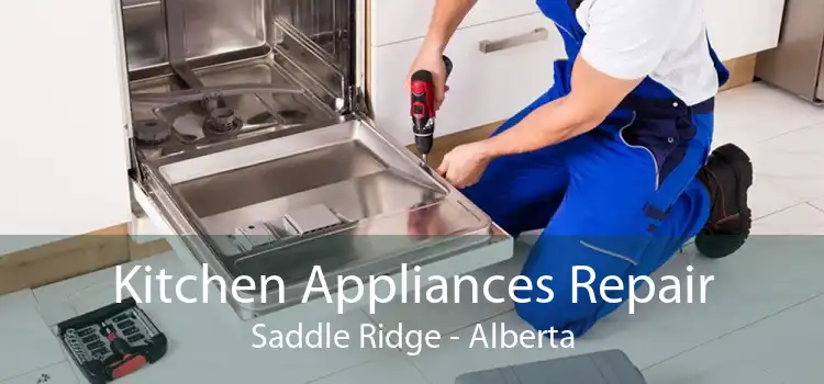 Kitchen Appliances Repair Saddle Ridge - Alberta
