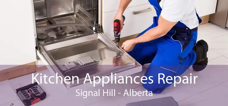 Kitchen Appliances Repair Signal Hill - Alberta