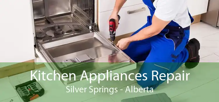 Kitchen Appliances Repair Silver Springs - Alberta