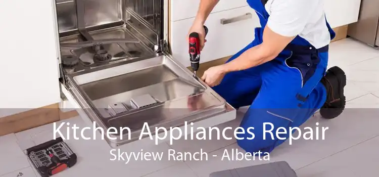 Kitchen Appliances Repair Skyview Ranch - Alberta