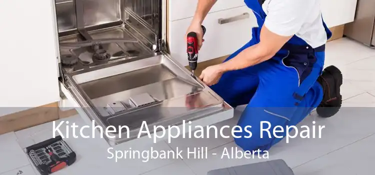 Kitchen Appliances Repair Springbank Hill - Alberta