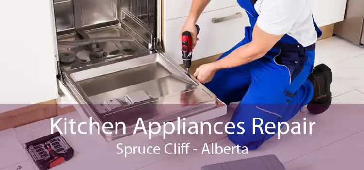 Kitchen Appliances Repair Spruce Cliff - Alberta