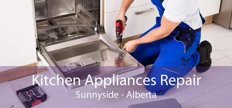 Kitchen Appliances Repair Sunnyside - Alberta