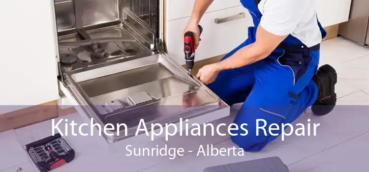Kitchen Appliances Repair Sunridge - Alberta