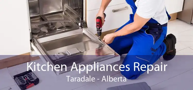 Kitchen Appliances Repair Taradale - Alberta